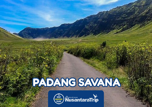 Padang Savana Paket Wisata Tour Bromo Malang, Surabaya, Jogja, Semarang, Magelang, Solo
